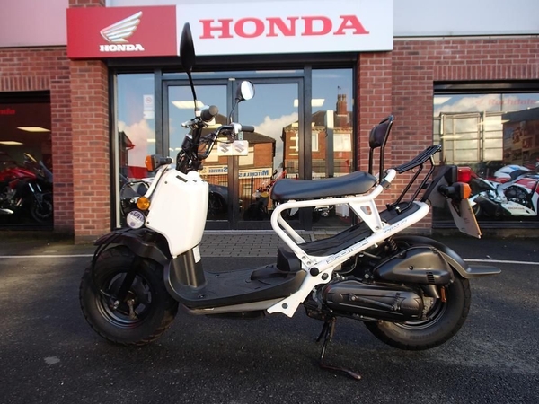 Honda Zoomer 50cc  Không chỉ là tiết kiệm  Báo Dân trí